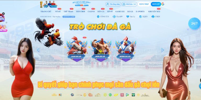 Bí quyết giúp bạn chinh phục mọi sàn đấu gà chọi lớn