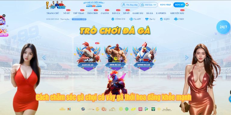 Cách chăm sóc gà chọi có vảy gà thới hoa đăng khỏe mạnh